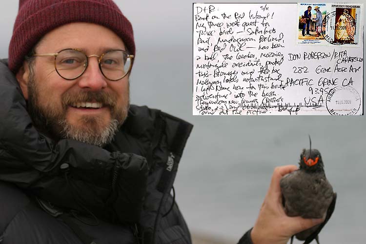 Luke Cole, shown here holding a Crested Auklet in Alaska (photo © David W. Nelson) was an amazing guy. He was a top birder, a incomparable wit, ... - LukeCole-DavidWNelson2688tt